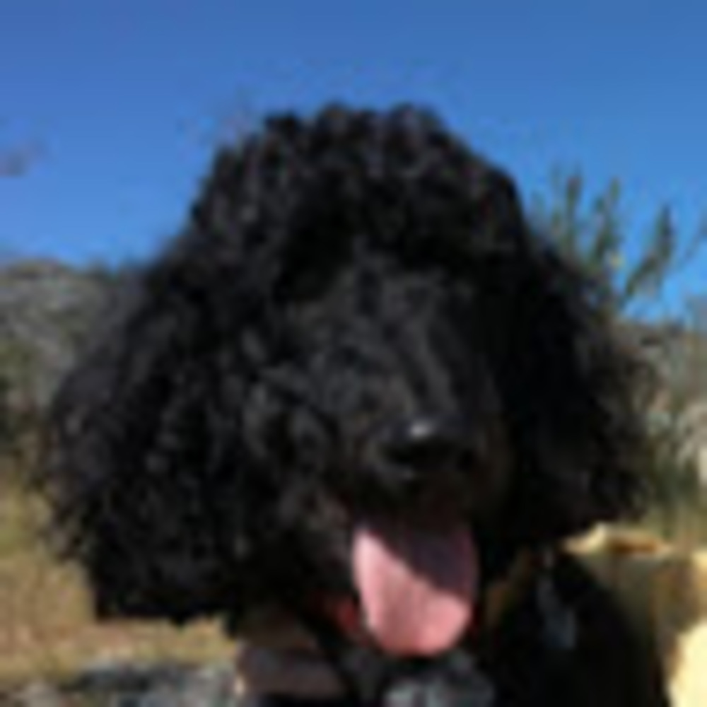 Meet your Posher, Jane-jane